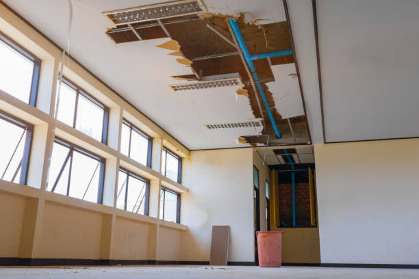 Best Commercial water damage restoration  in West Monroe, LA