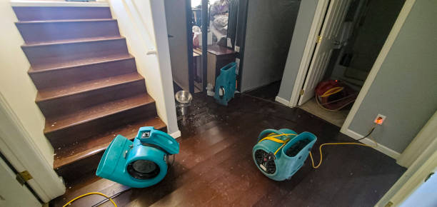 Best Flood damage cleanup  in West Monroe, LA