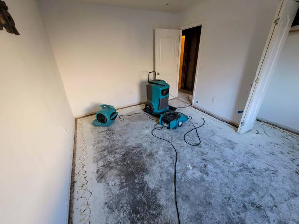 Best Flood restoration services  in West Monroe, LA