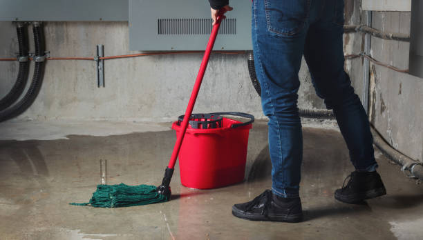  West Monroe, LA Water damage restoration Pros