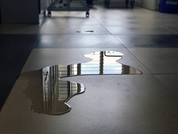 Best Professional water damage repair  in West Monroe, LA