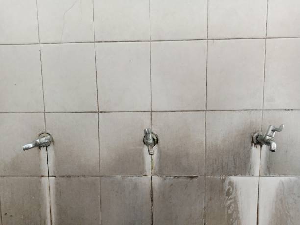 Best Basement water damage restoration  in West Monroe, LA