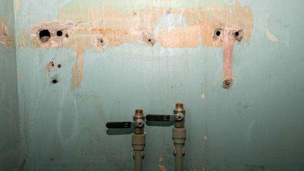 Trusted LA Water damage restoration Experts