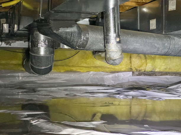 Best Water damage contractors near me  in West Monroe, LA