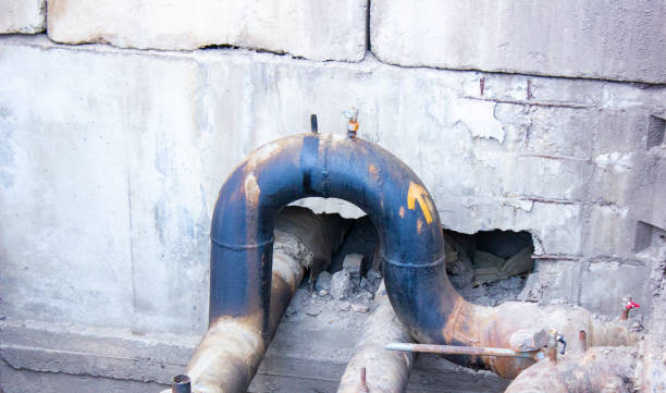 Best Water damage cleanup near me  in West Monroe, LA
