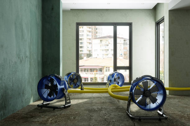 Best Basement water damage restoration  in West Monroe, LA