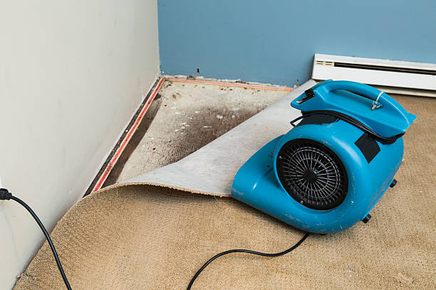 Best Fire Damage Restoration  in West Monroe, LA