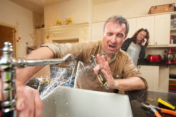Best Carpet water damage restoration  in West Monroe, LA